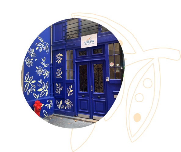 Siège ANEPA Tremplin Lyon